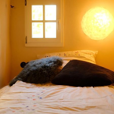 Ferienhaus Das Doemchen Esch 외부 사진